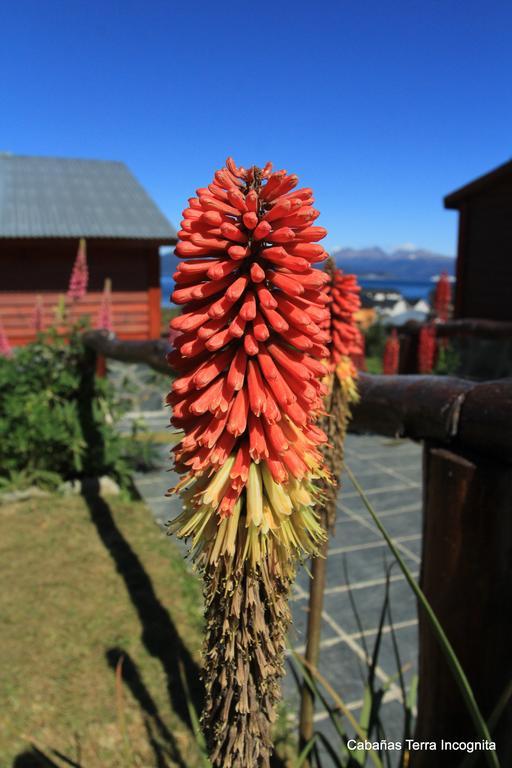 Vila Terra Incognita Ushuaia Exteriér fotografie