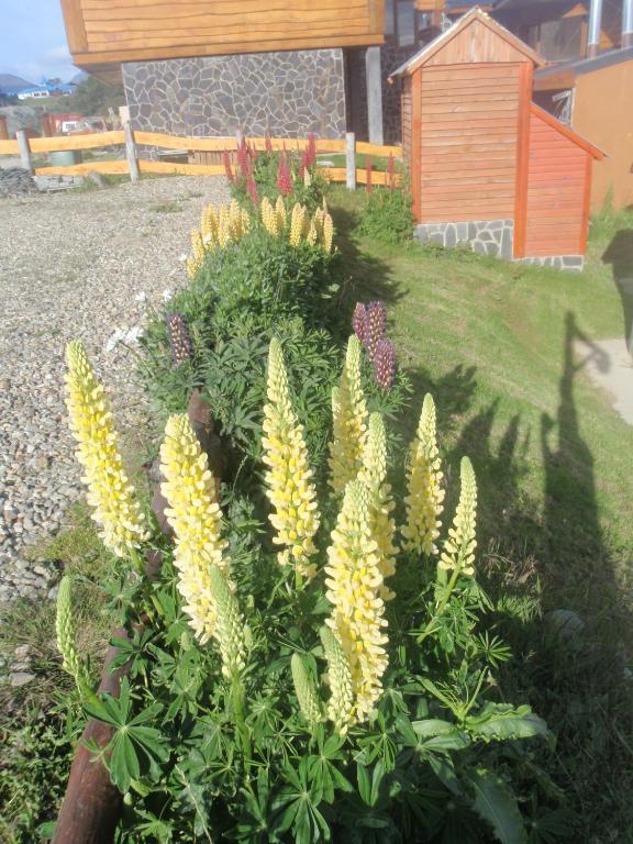 Vila Terra Incognita Ushuaia Pokoj fotografie